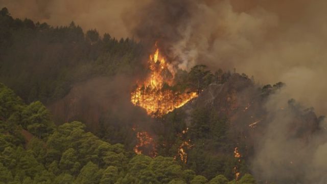 511639_spain_tenerife_wildfires_20219 676x451.jpg