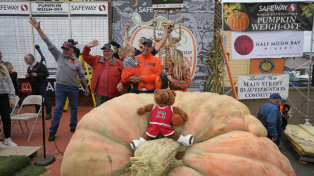 511976_giant_pumpkin_winner_69025 676x451.jpg