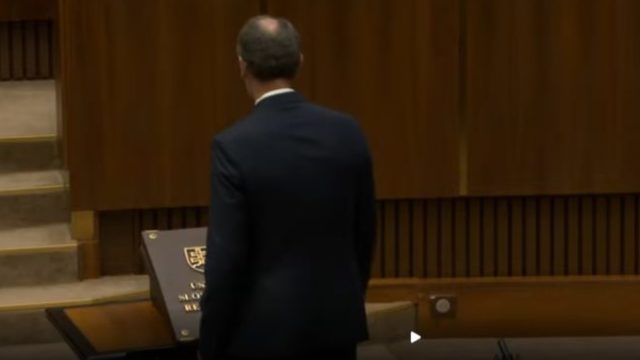 512963_395711792_221676944109599_5151234589228122397_n 676x368.jpg