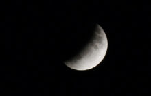 513033_08 2 676x429.jpg