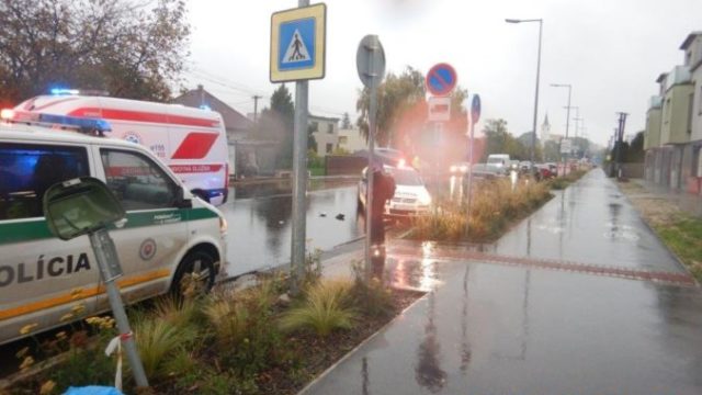 513139_395437461_644160771244693_4888218122910602555_n 676x507.jpg