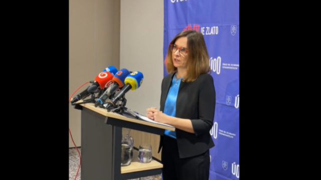 516025_zuzana dlugosova 676x512.jpg