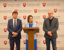 516341_kolikova sulik 676x522.jpg