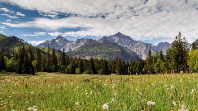 516840_vysoke tatry 676x439.jpg