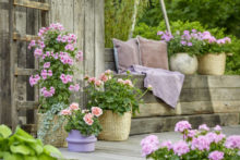 525200_pfe 676x451.jpg