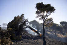 528608_aptopix_greece_wildfire_23708 676x451.jpg