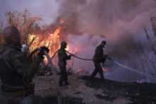 531369_greece_wildfire_45418 676x451.jpg