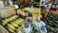 536752_inflation_grocery_shopping_68772 1 676x451.jpg