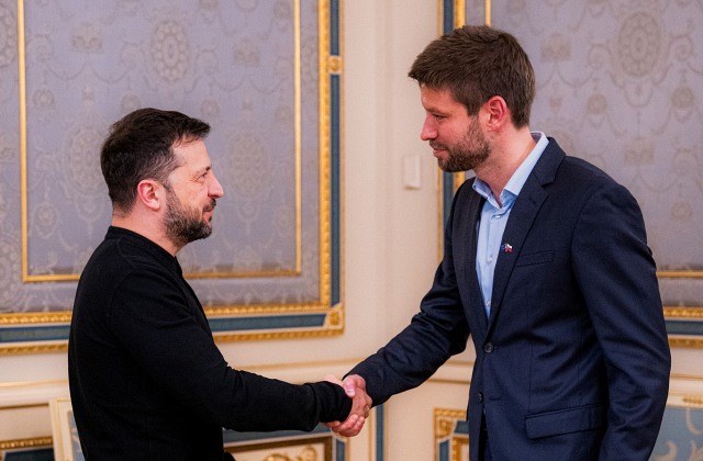 539538_zelenskyjsimecka2.jpg