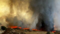 541643_california_wildfires_37472 676x455.jpg