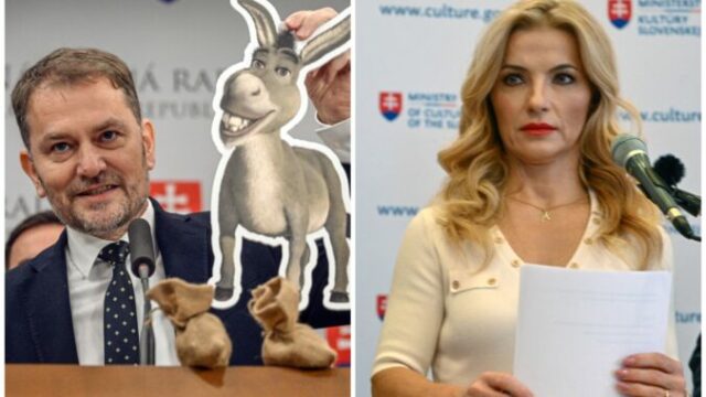 544669_matovic simkovicova 676x451.jpg