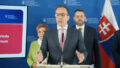 544804_sni mka obrazovky 2025 05 20 o 13.46.03 676x379.jpg