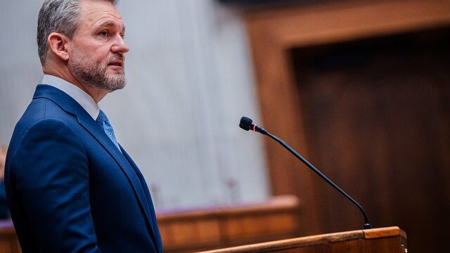 545097_pelle 1.jpg