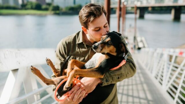 545180_chewy nprk_w6tcq4 unsplash 676x451.jpg