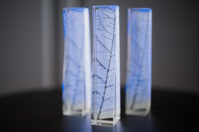 545973_esg_awards_1 676x451.jpg