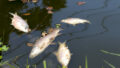 546437_gettyimages 518912903 676x451.jpg