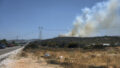 546593_turkey_wildfire_69524 676x451.jpg