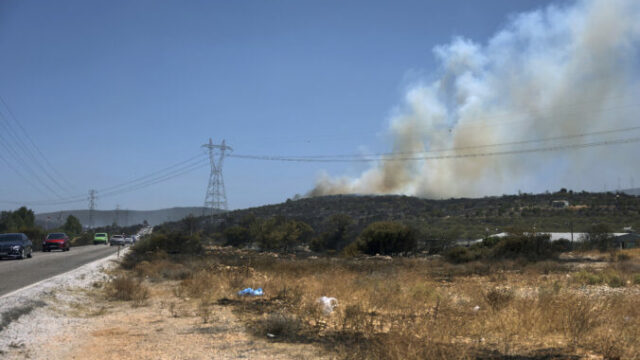 546593_turkey_wildfire_69524 676x451.jpg