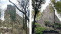 546806_1 676x329.jpg