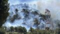 546814_france_wildfire_37065 676x507.jpg