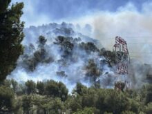 546814_france_wildfire_37065 676x507.jpg