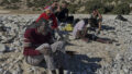 546865_migration_greece_libya_42528 676x451.jpg