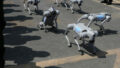 546878_humanoid_robot_half marathon_34911 676x451.jpg