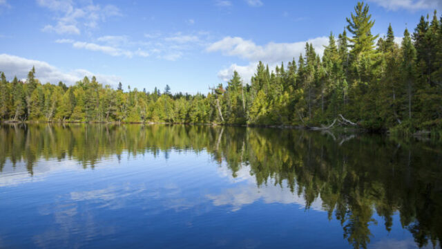 547008_gettyimages 2043169611 676x451.jpg