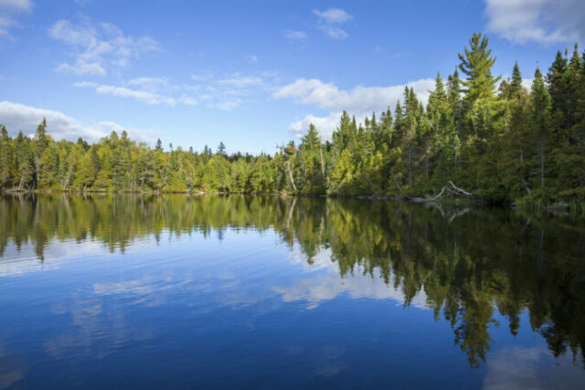 547008_gettyimages 2043169611 676x451.jpg