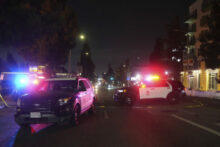 547251_los_angeles_vehicle_into_crowd_51260 676x451.jpg