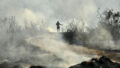 547427_cyprus_wildfire_09122 676x451.jpg