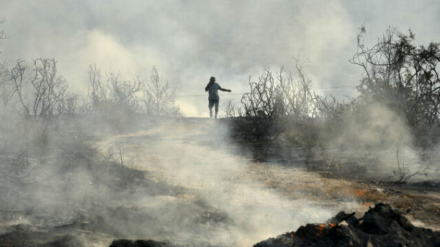 547427_cyprus_wildfire_09122 676x451.jpg