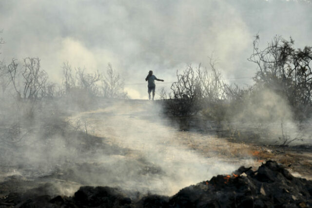 547427_cyprus_wildfire_09122 676x451.jpg