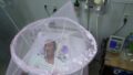 548039_paraguay_chikungunya_05531 676x451.jpg