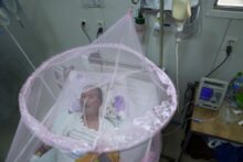 548039_paraguay_chikungunya_05531 676x451.jpg