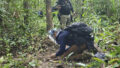 548080_thailand_cambodia_75129 676x451.jpg