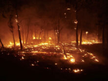 548201_europe_fires_19218 676x507.jpg