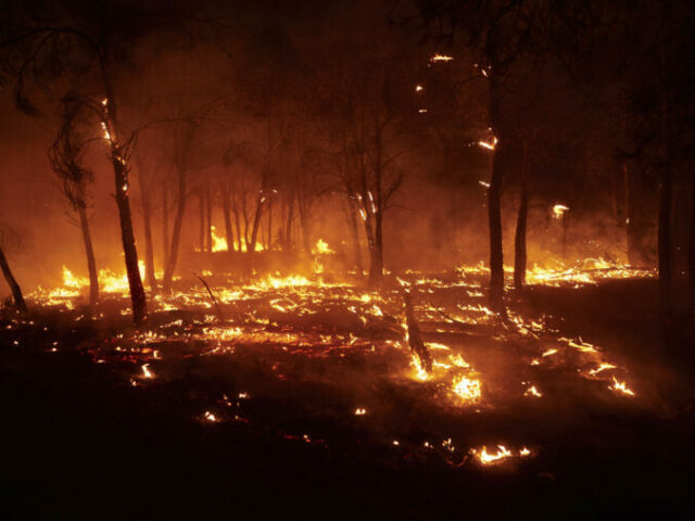 548201_europe_fires_19218 676x507.jpg