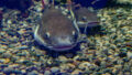 548280_gettyimages 1218367703 676x451.jpg