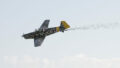 548395_ifr8746 676x451.jpg
