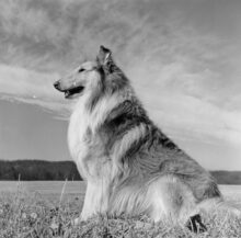 548511_gettyimages hn3688 001 676x666.jpg