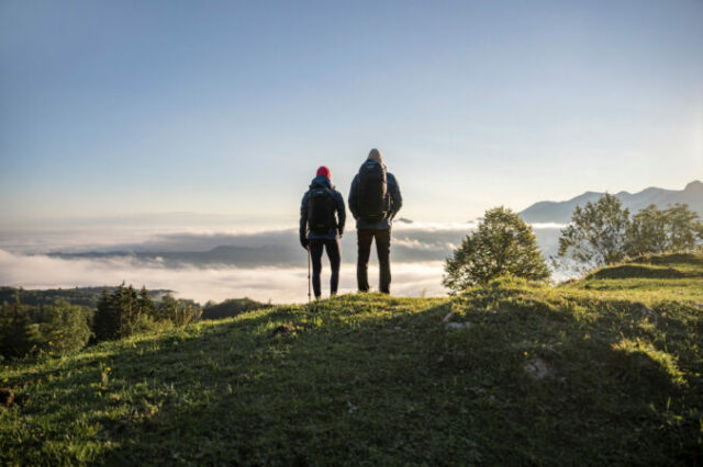 548817_241010_zajo_f24_a7403553 bearbeitet 676x450.jpeg