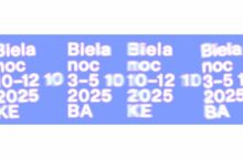 549533_new project 11 676x444.jpg