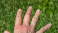 549643_gettyimages 1250079794 676x451.jpg
