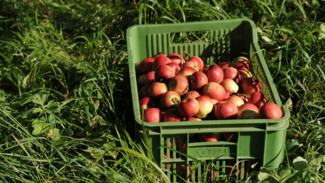 549859_03 4 676x419.jpg