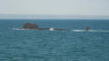 550209_russia_navy_28409 676x380.jpg