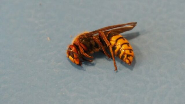 550395_img_20251002_114901_689 676x450.jpg