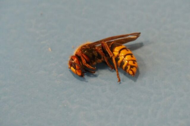 550395_img_20251002_114901_689 676x450.jpg