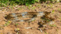 550908_gettyimages 1596132929 676x451.jpg