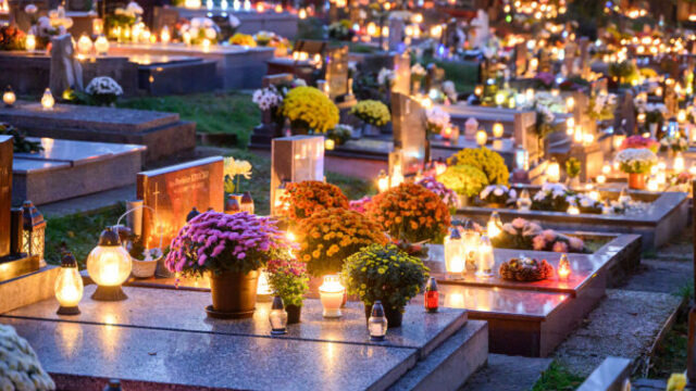 551740_6725205e8f2ea252625038 676x488.jpg